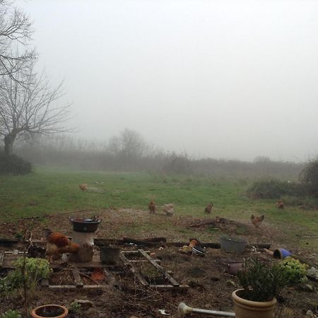 Homestay Arrabella Availles-Limouzine Buitenkant foto